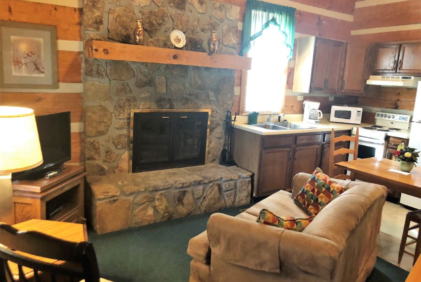 Cabin 1-4 Living Room